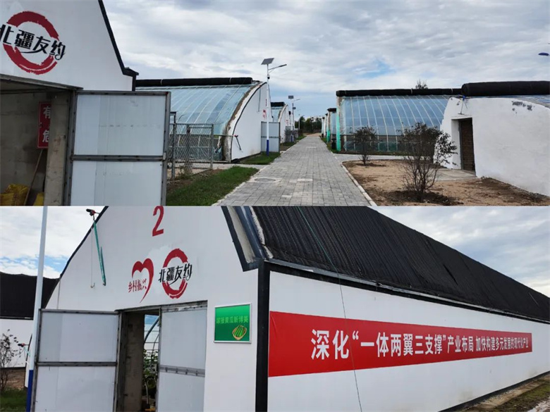 女人与公狍交酡女免费