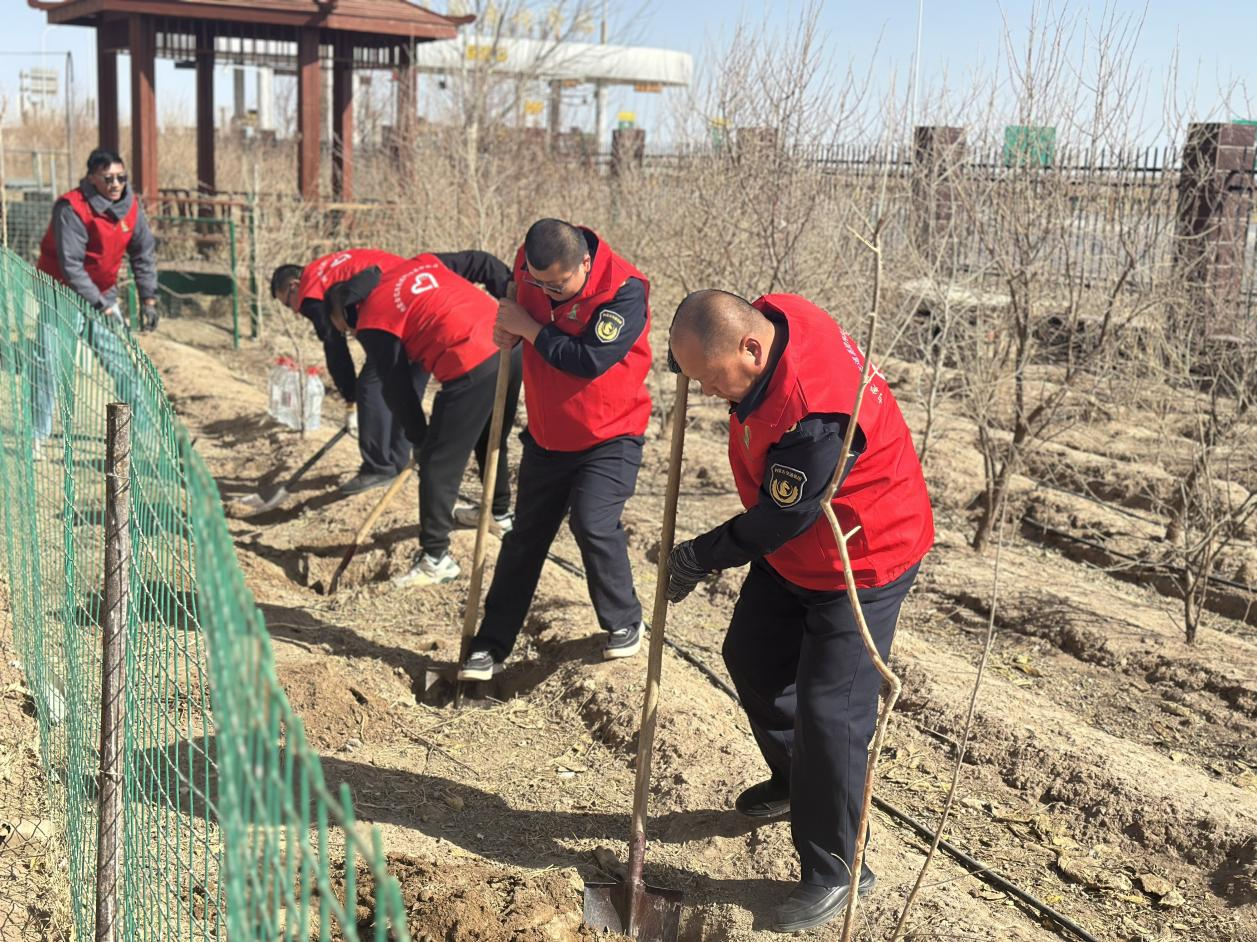 女人与公狍交酡女免费