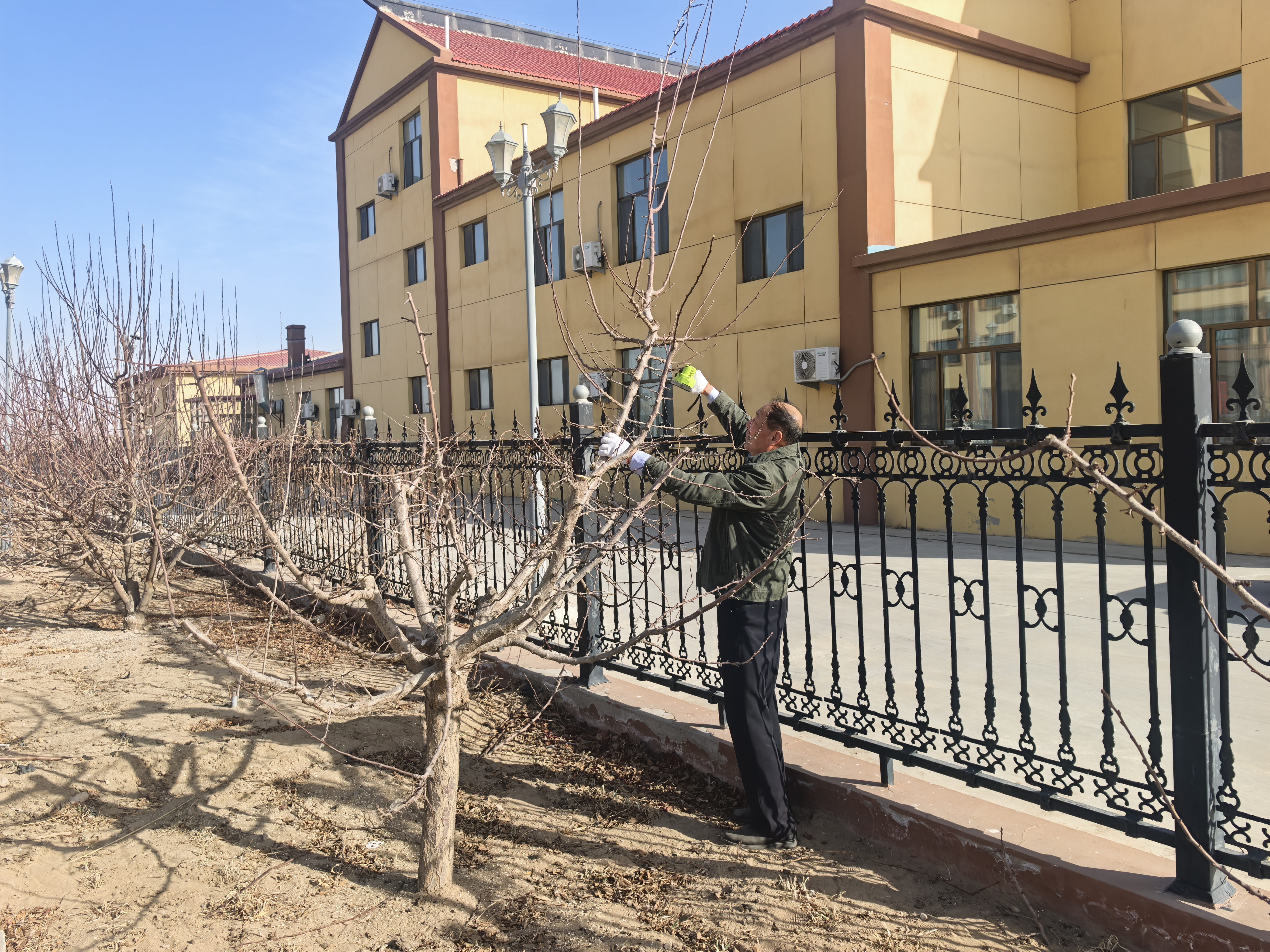 女人与公狍交酡女免费