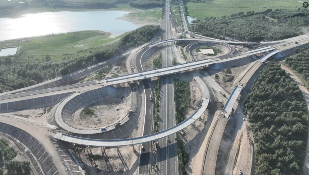 女人与公狍交酡女免费