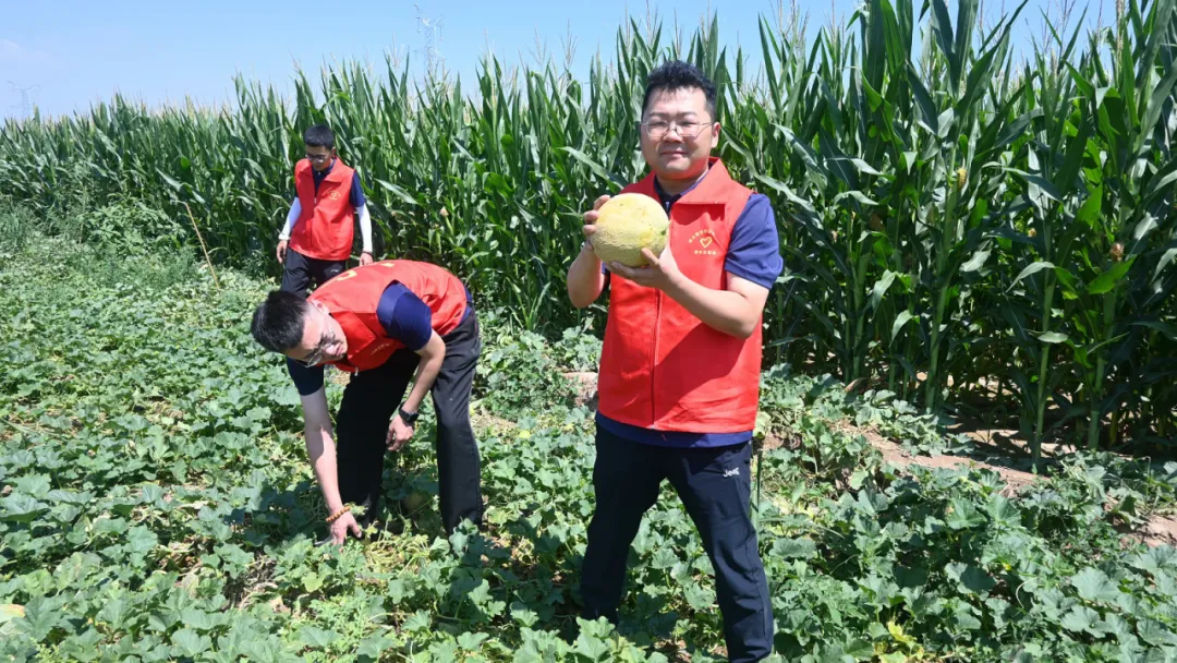女人与公狍交酡女免费