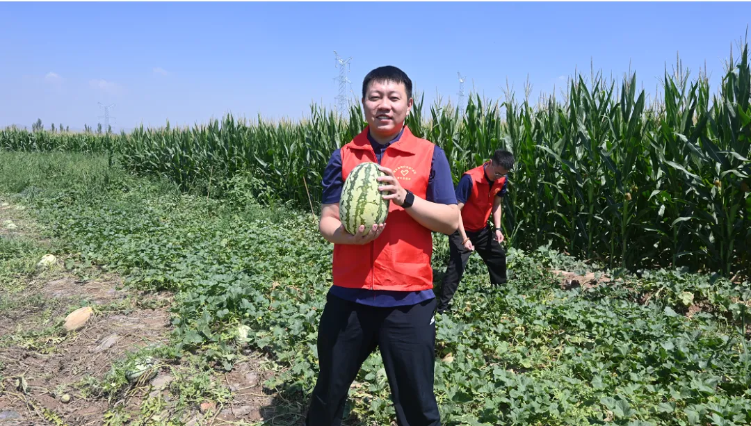 女人与公狍交酡女免费