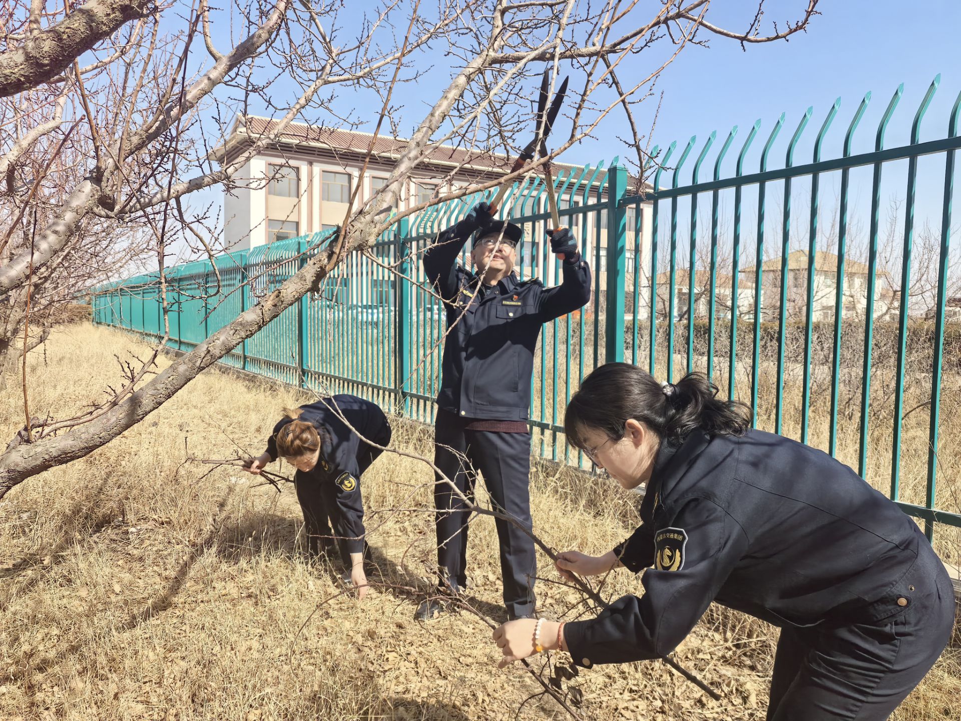 女人与公狍交酡女免费