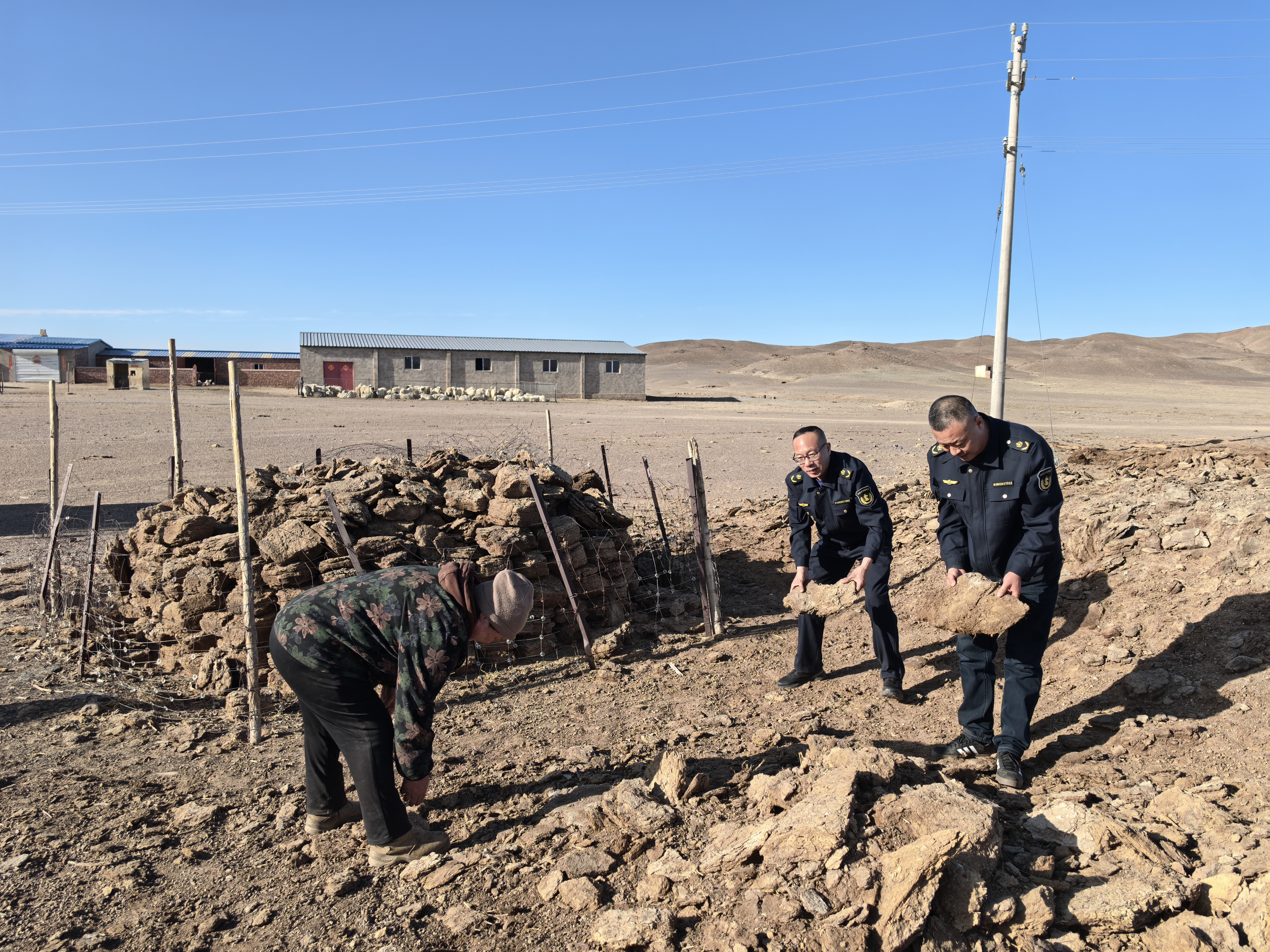 女人与公狍交酡女免费