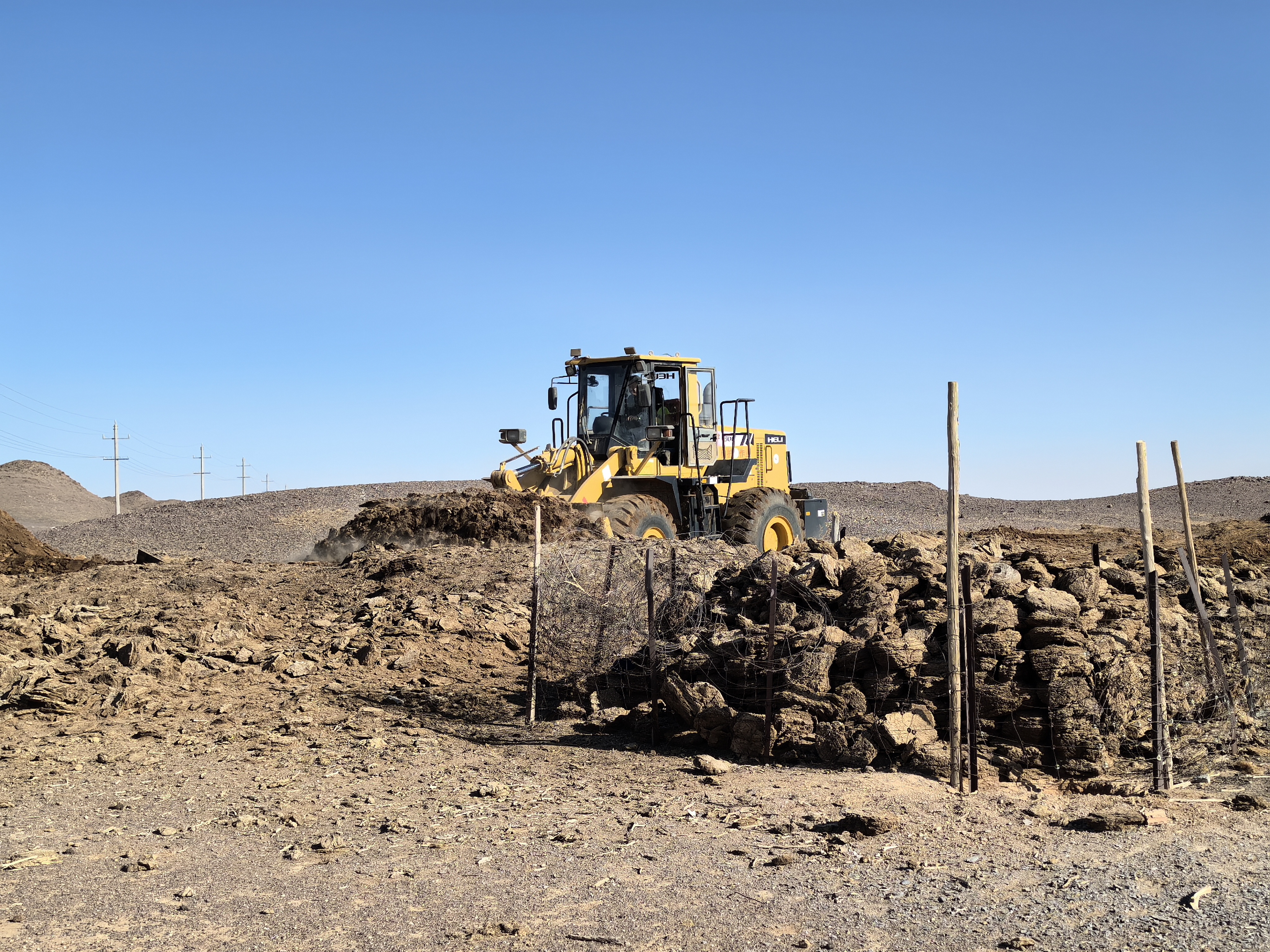 女人与公狍交酡女免费