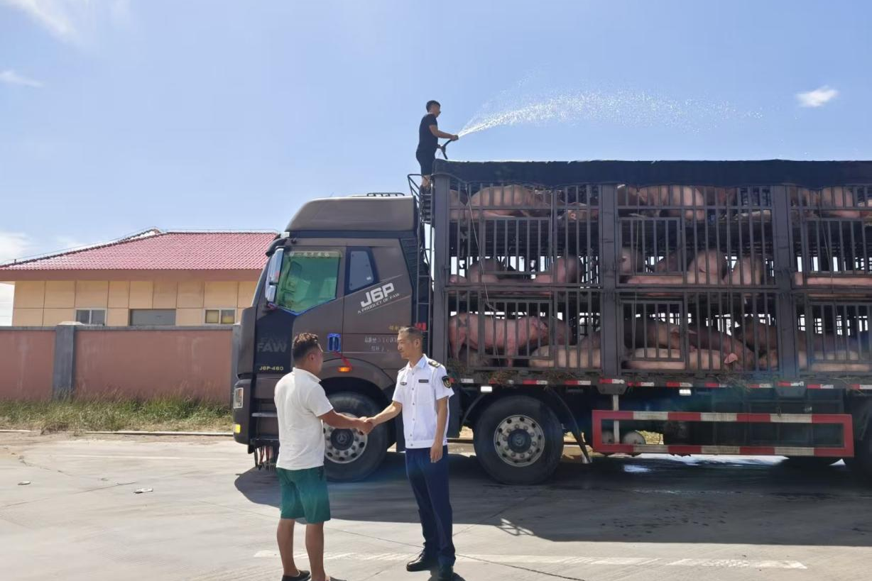 女人与公狍交酡女免费