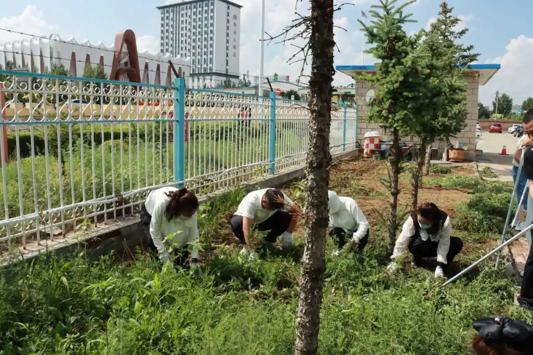 女人与公狍交酡女免费