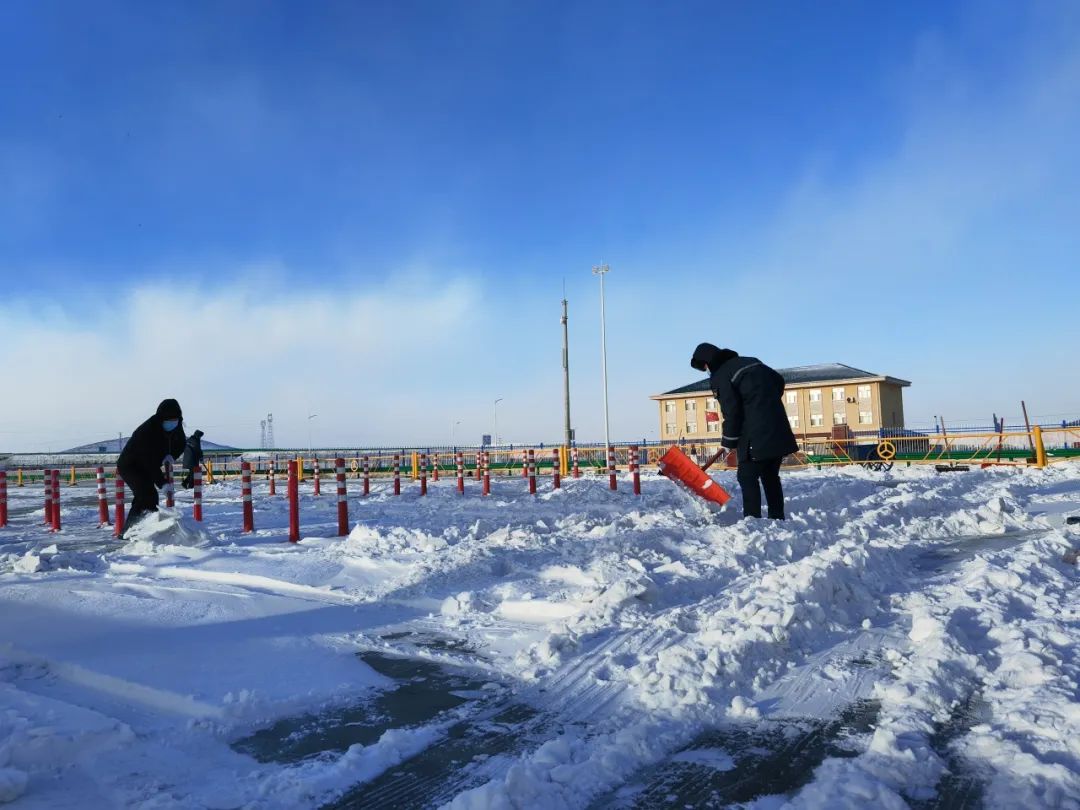 女人与公狍交酡女免费