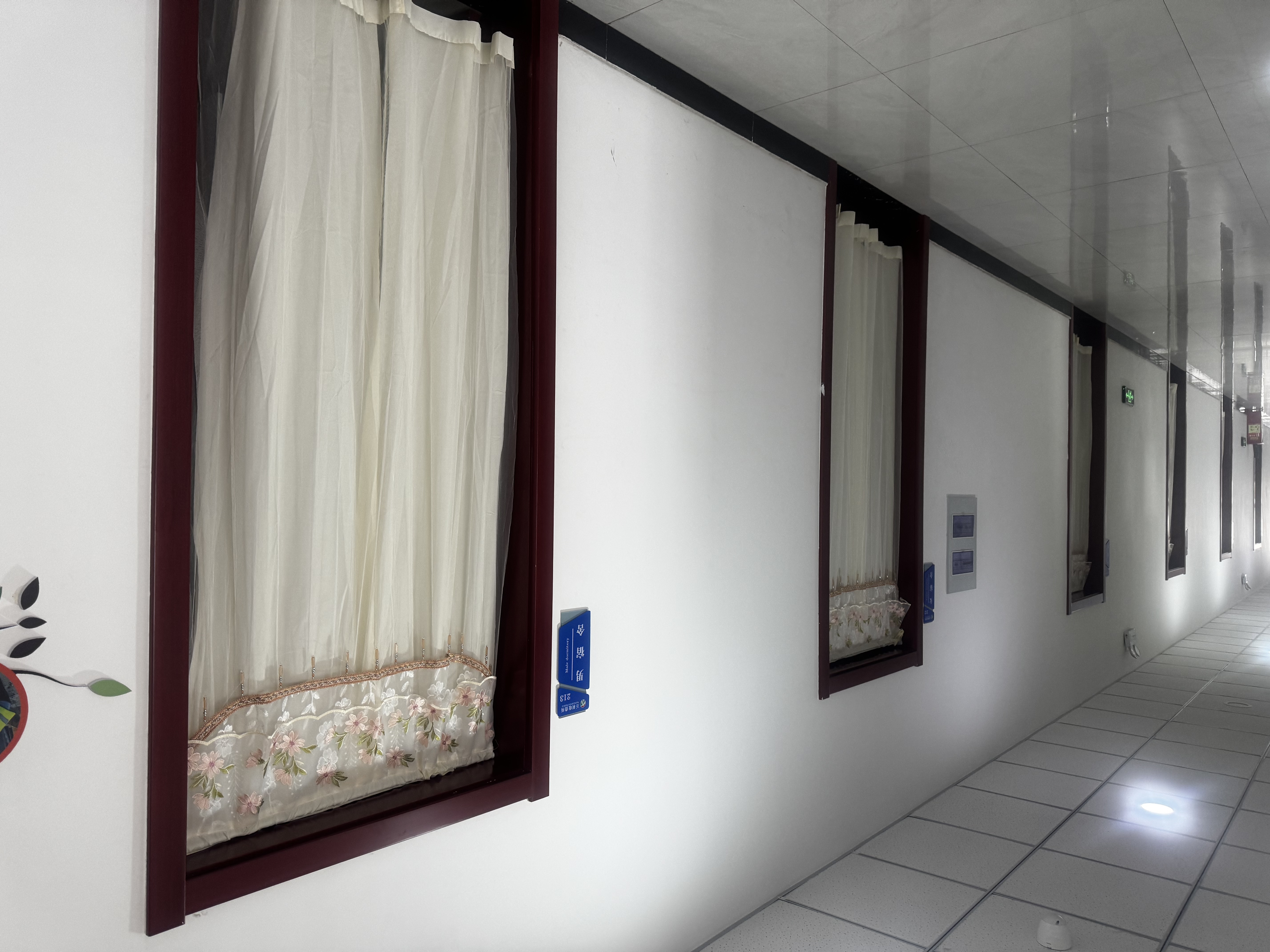 女人与公狍交酡女免费