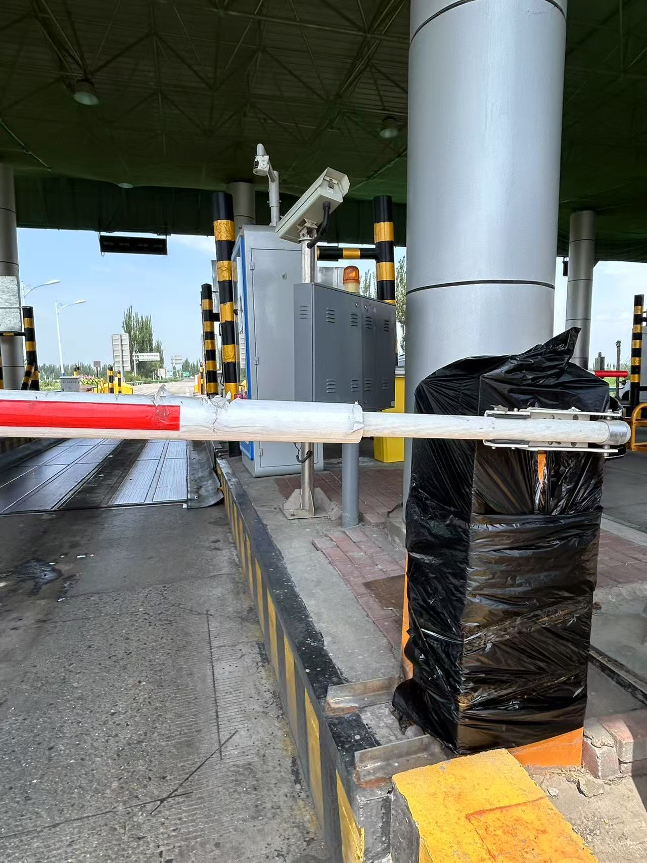 女人与公狍交酡女免费