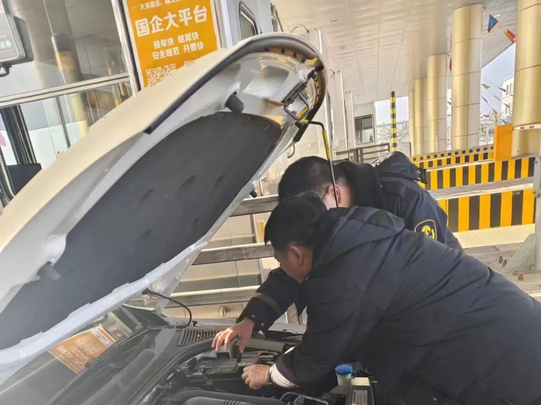 女人与公狍交酡女免费