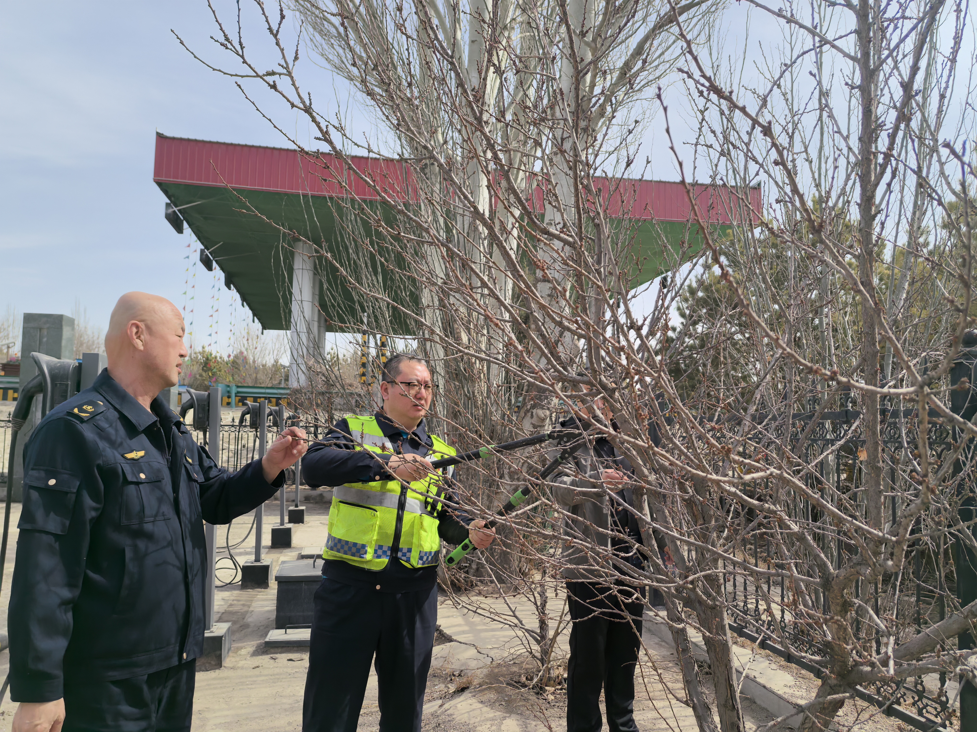 女人与公狍交酡女免费