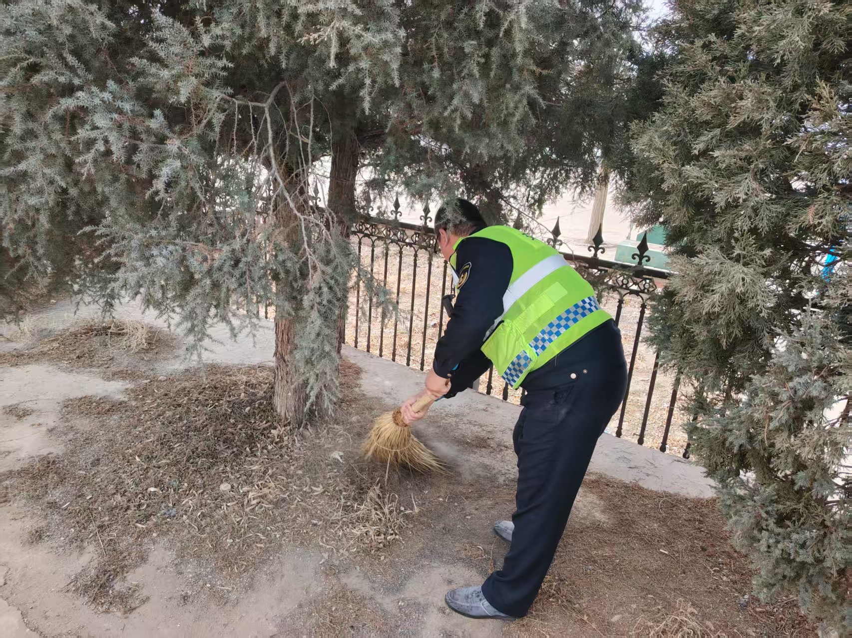 女人与公狍交酡女免费