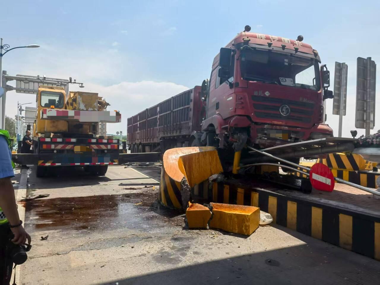 女人与公狍交酡女免费