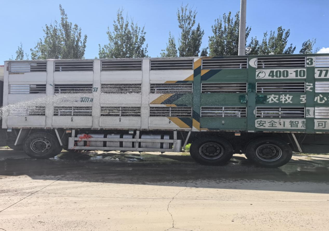 女人与公狍交酡女免费