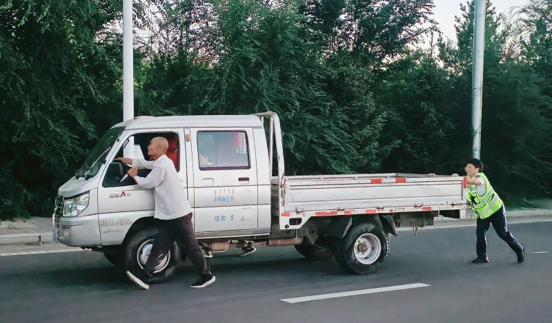 女人与公狍交酡女免费