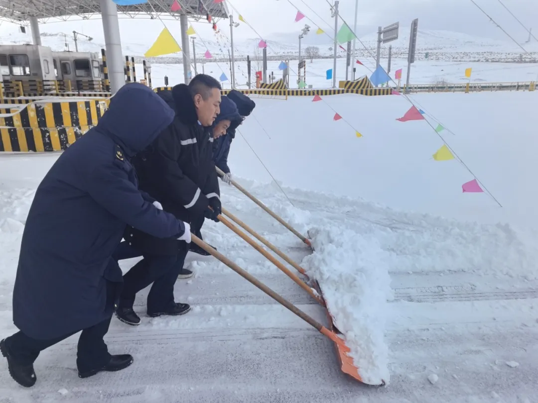 女人与公狍交酡女免费
