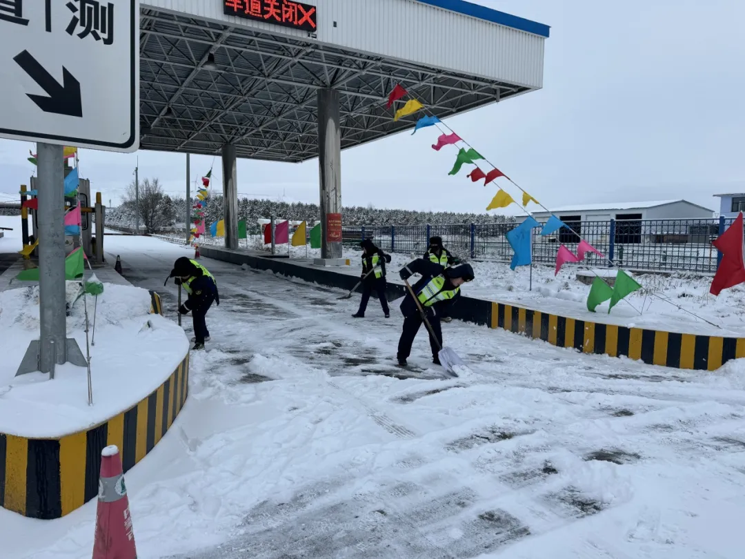女人与公狍交酡女免费
