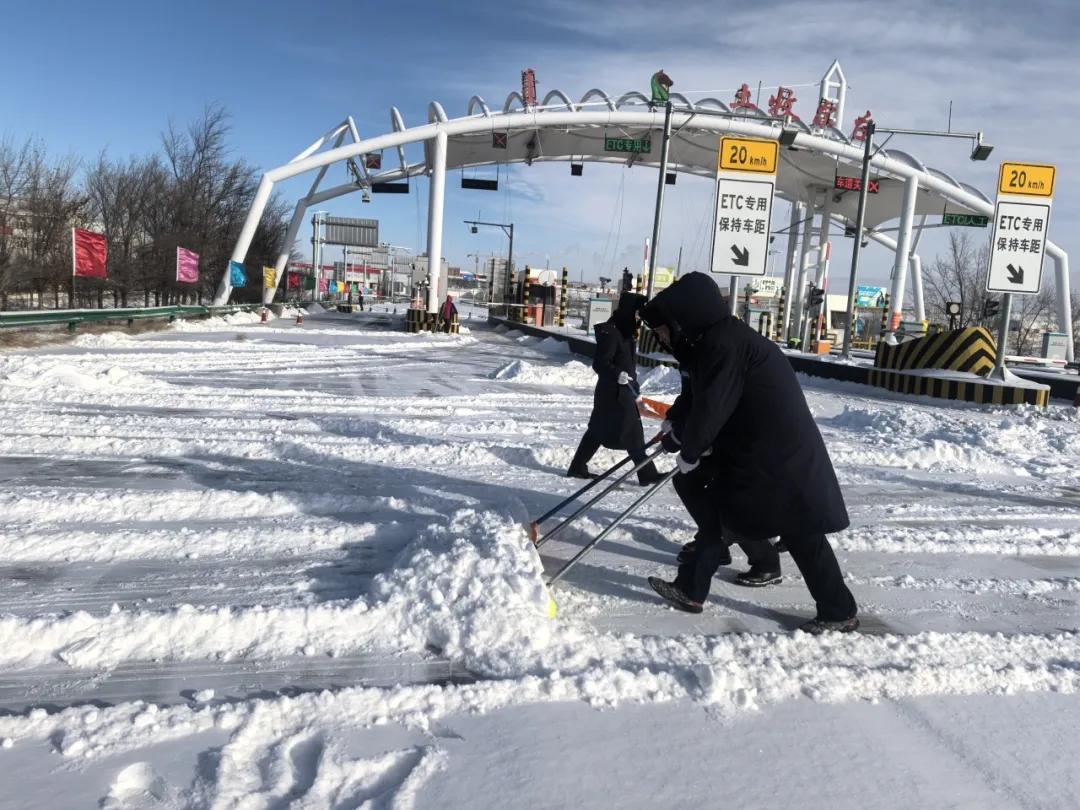 女人与公狍交酡女免费