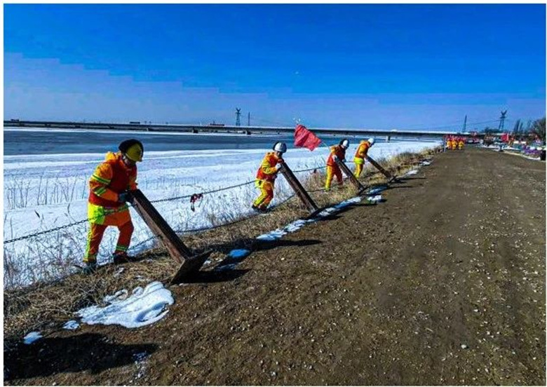 女人与公狍交酡女免费