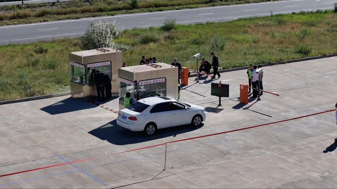 女人与公狍交酡女免费