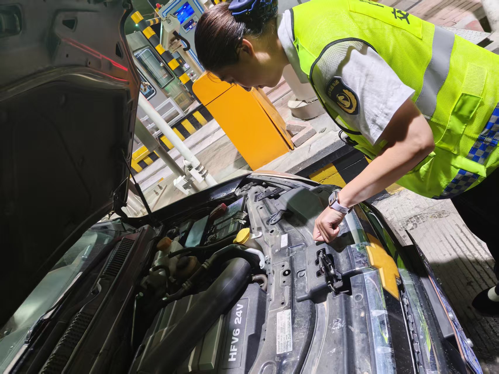 女人与公狍交酡女免费