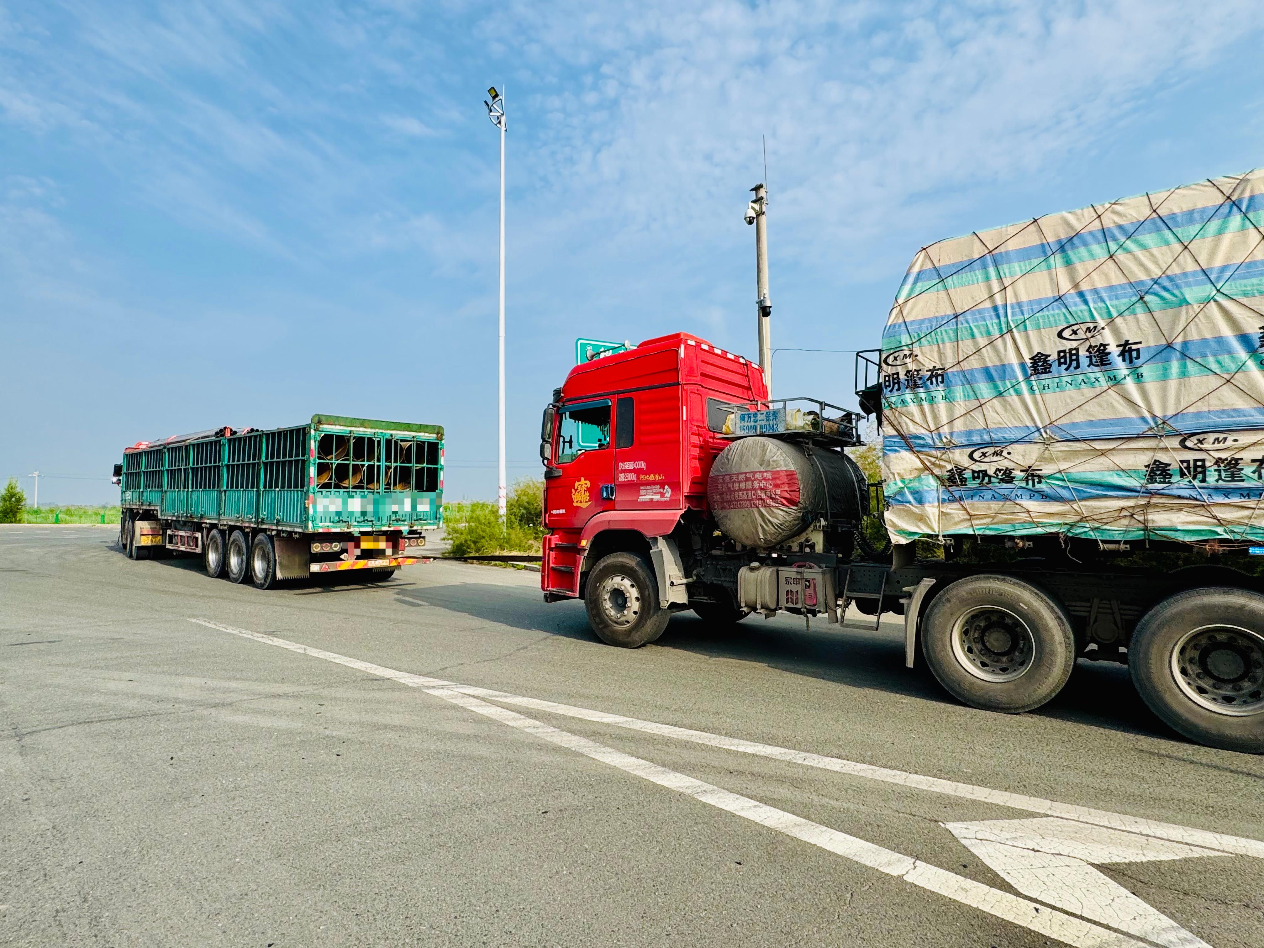 女人与公狍交酡女免费