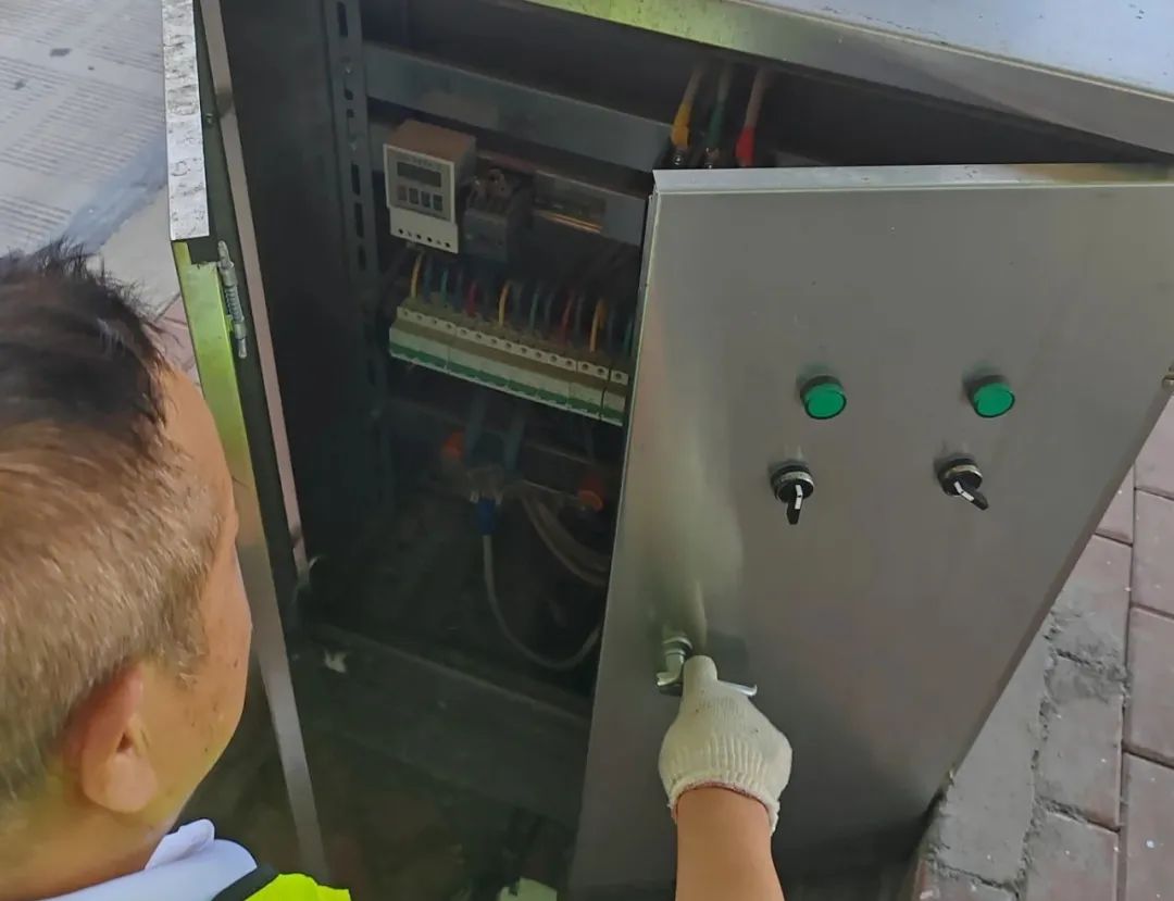 女人与公狍交酡女免费