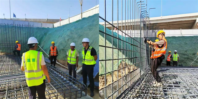 女人与公狍交酡女免费