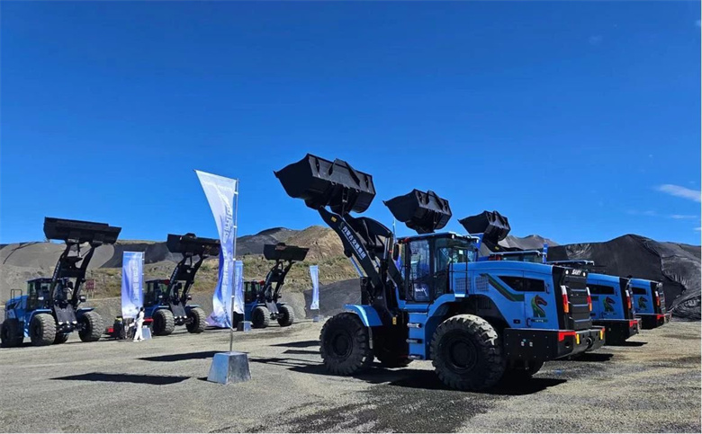 女人与公狍交酡女免费