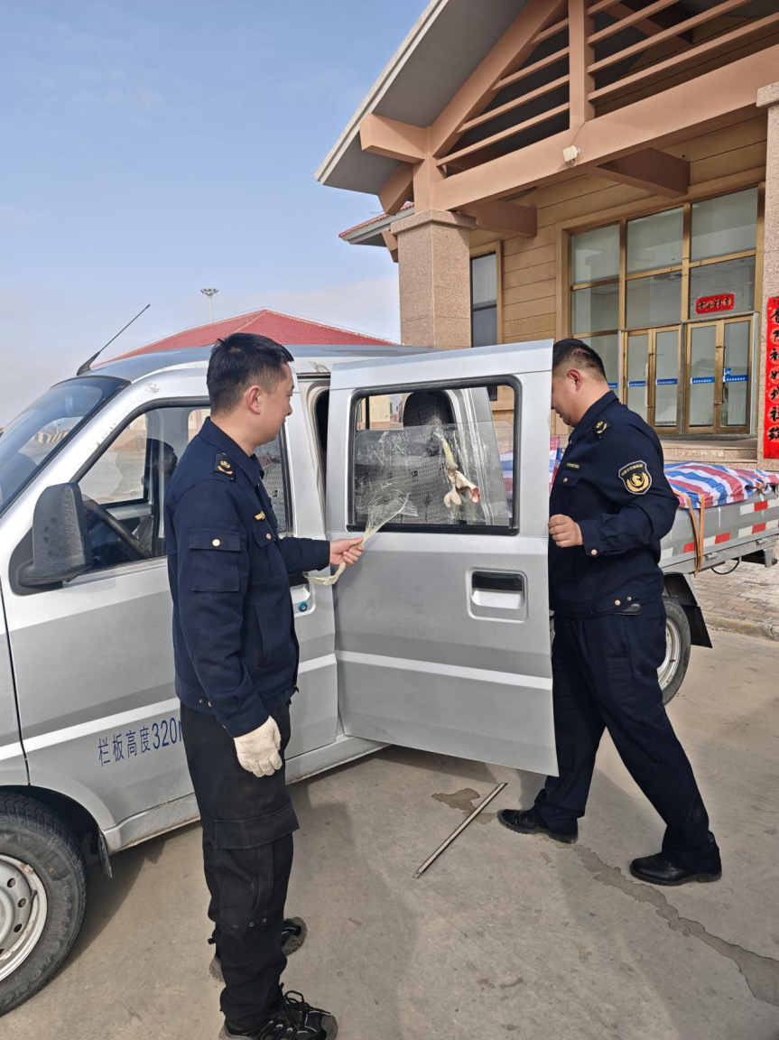 女人与公狍交酡女免费