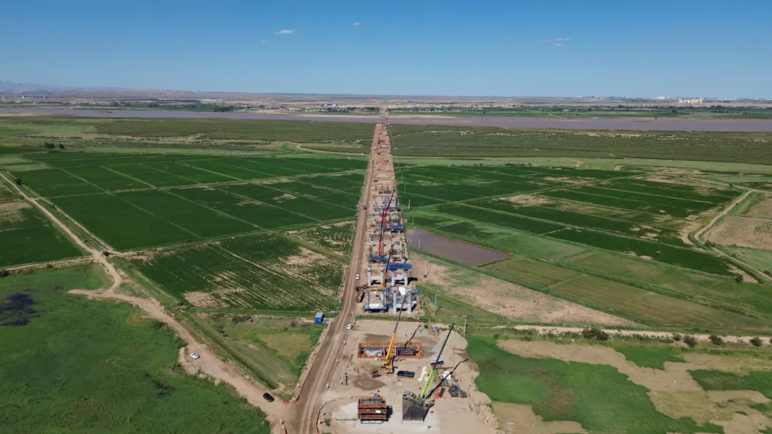 女人与公狍交酡女免费