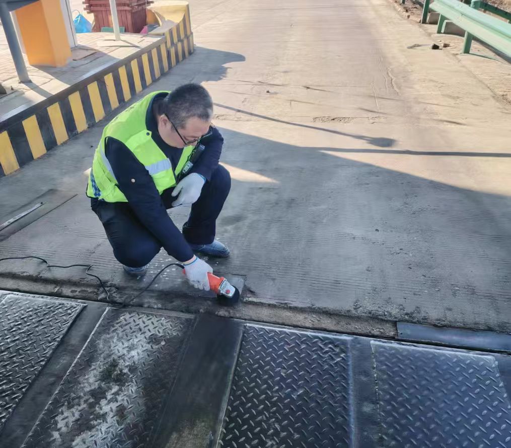 女人与公狍交酡女免费