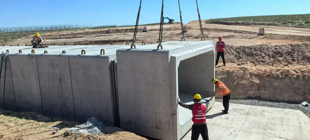 女人与公狍交酡女免费