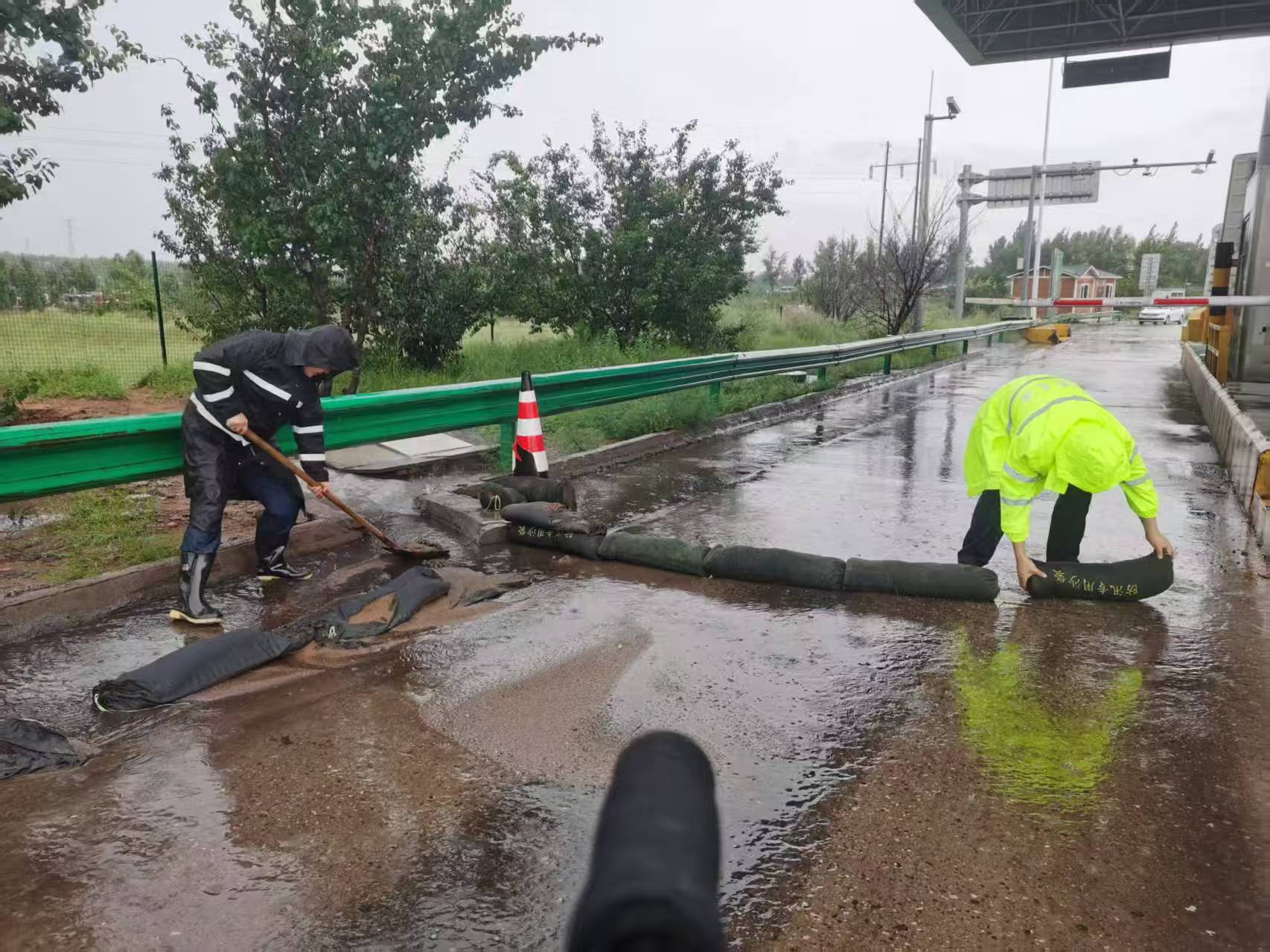 女人与公狍交酡女免费