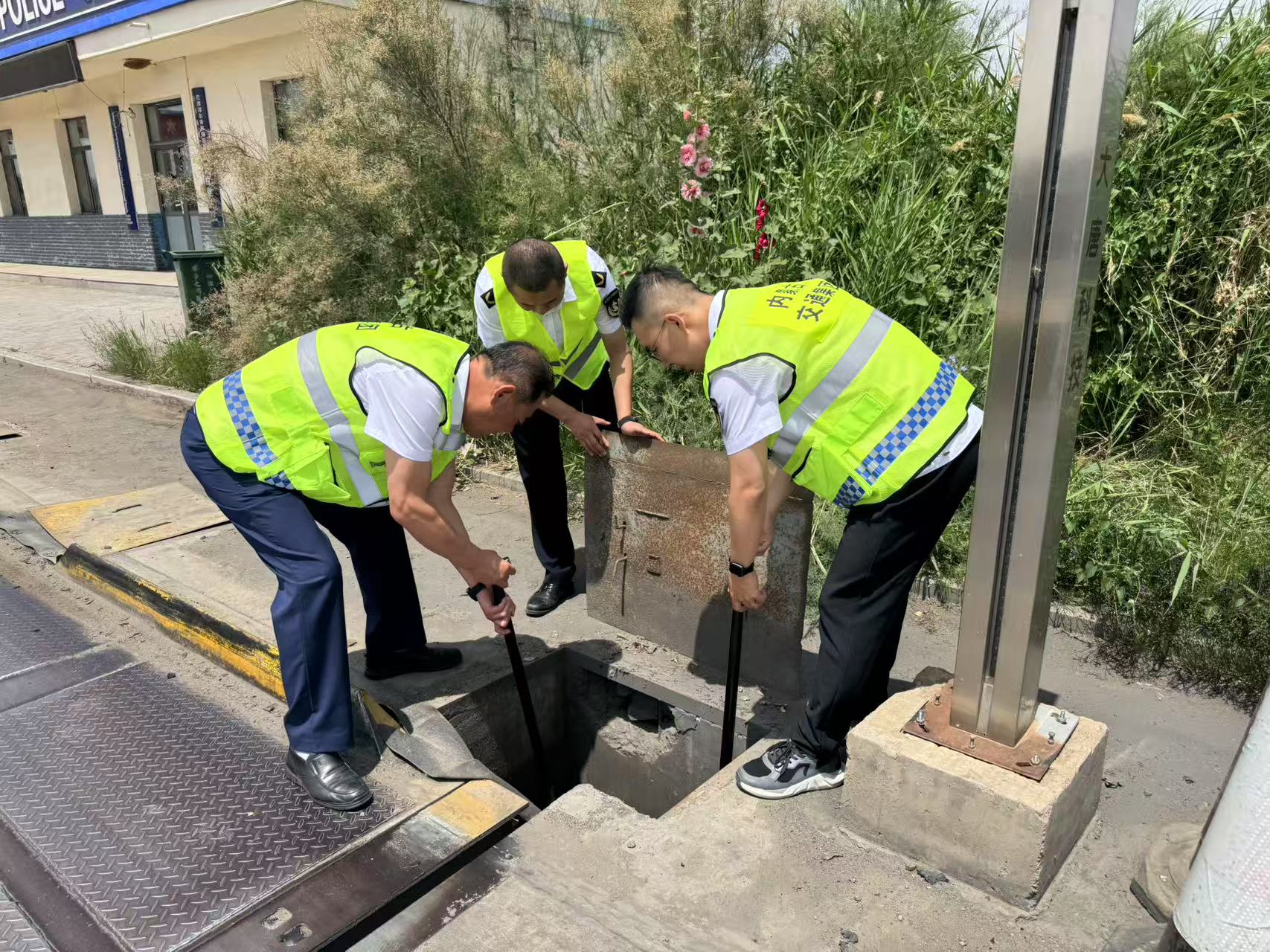 女人与公狍交酡女免费