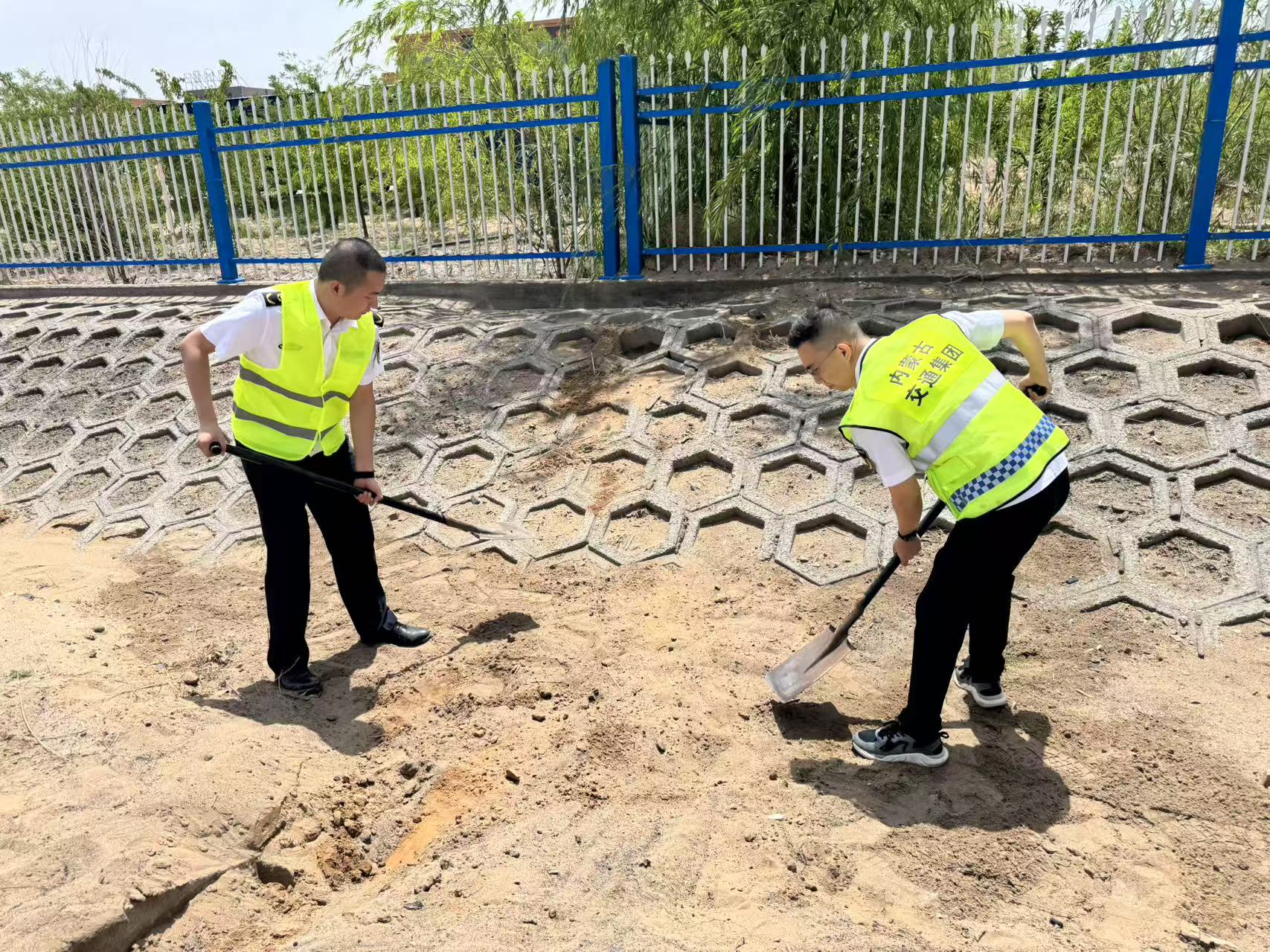 女人与公狍交酡女免费