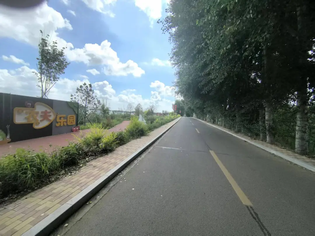 女人与公狍交酡女免费