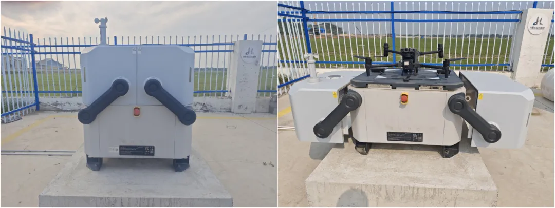 女人与公狍交酡女免费