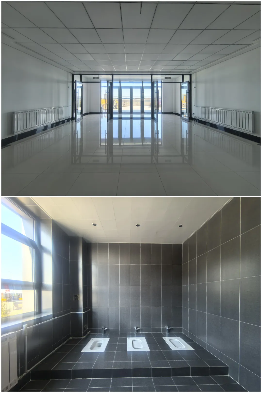 女人与公狍交酡女免费