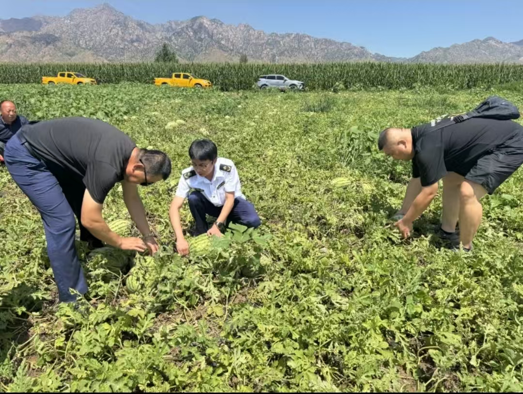 女人与公狍交酡女免费