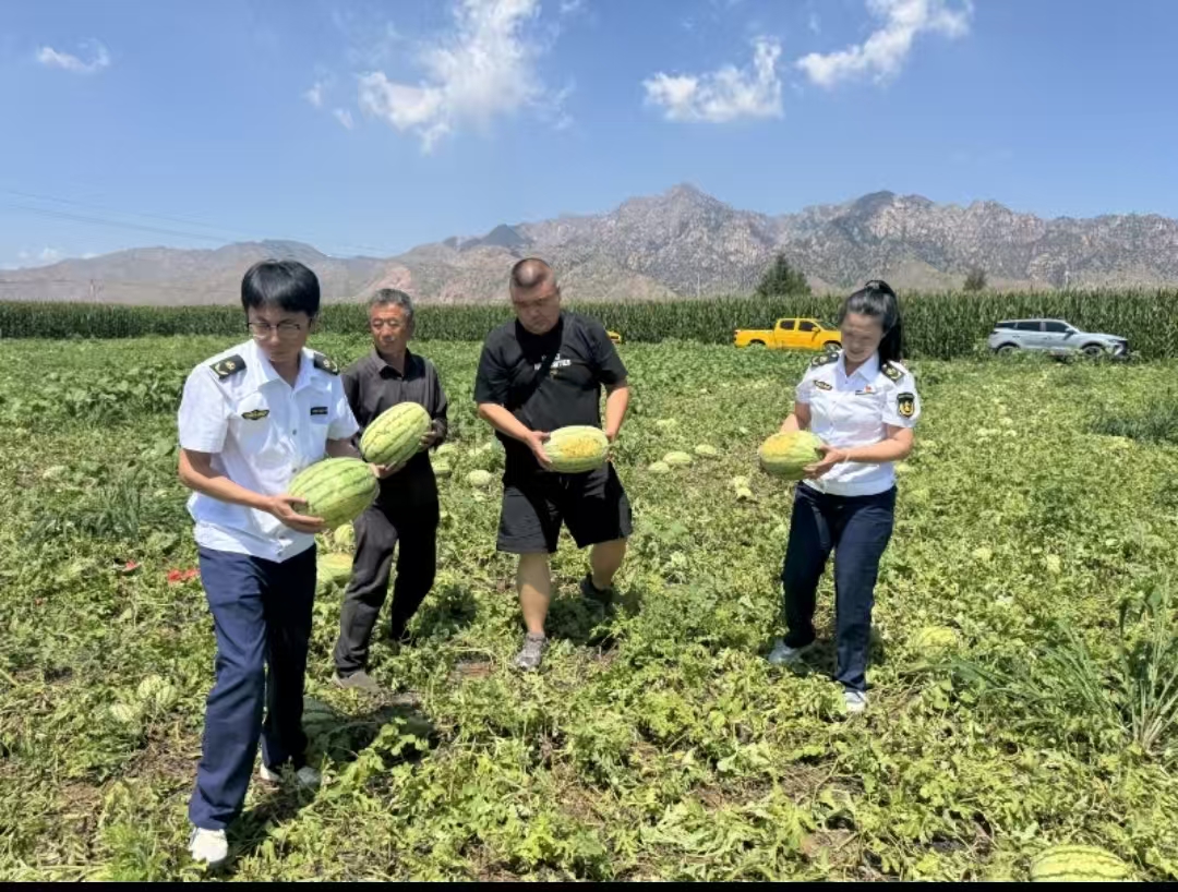 女人与公狍交酡女免费