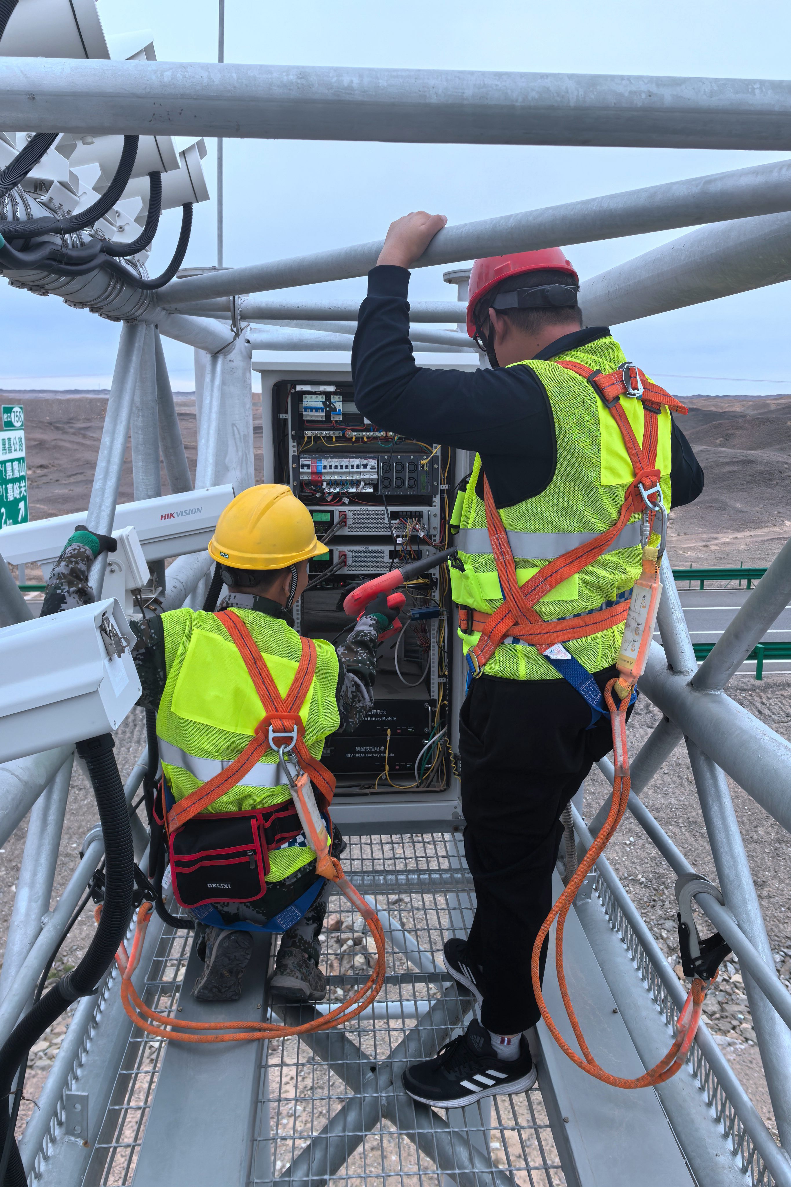 女人与公狍交酡女免费