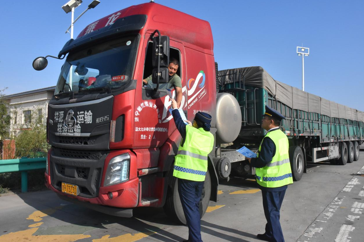 女人与公狍交酡女免费