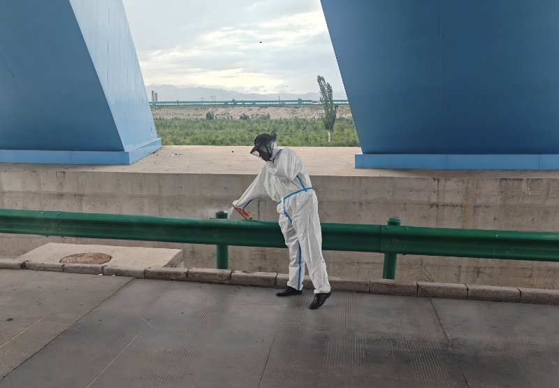 女人与公狍交酡女免费