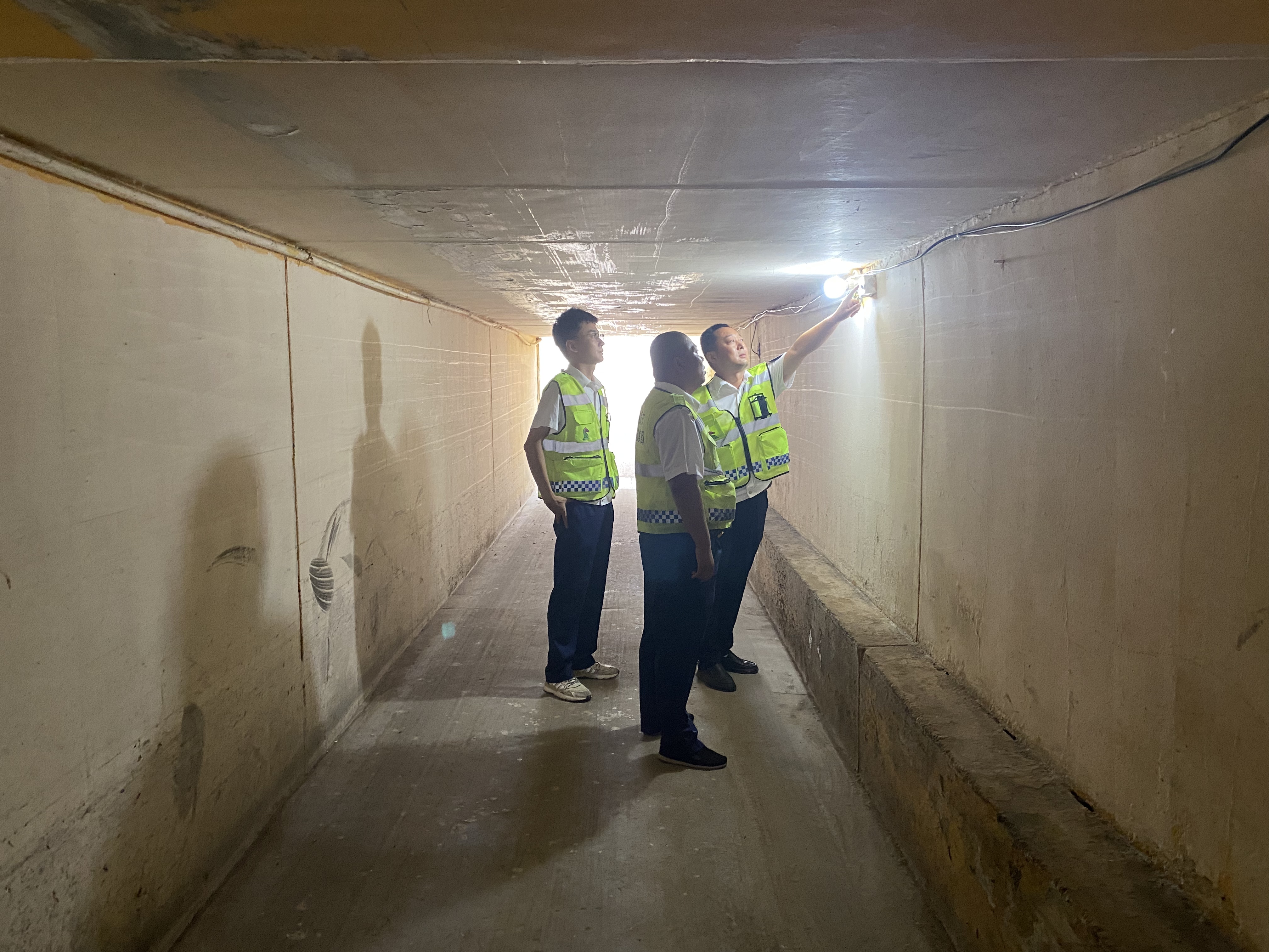 女人与公狍交酡女免费