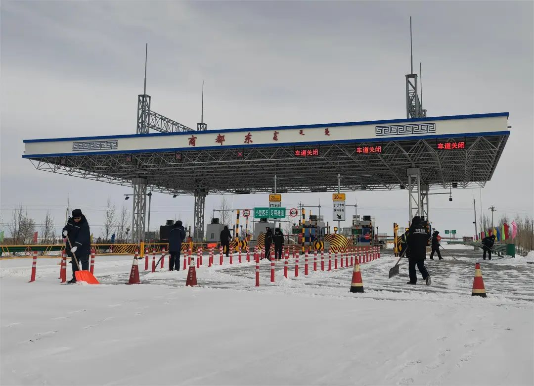 女人与公狍交酡女免费