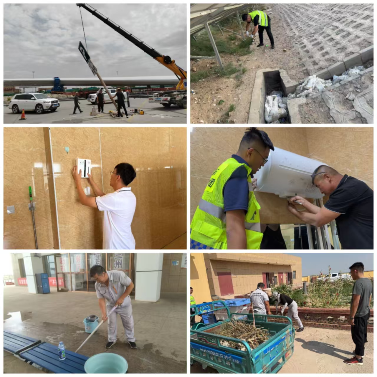 女人与公狍交酡女免费