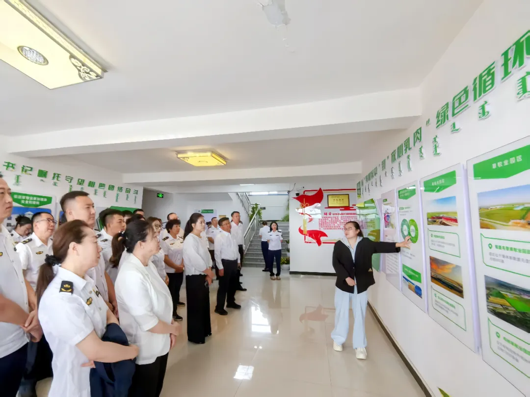 女人与公狍交酡女免费