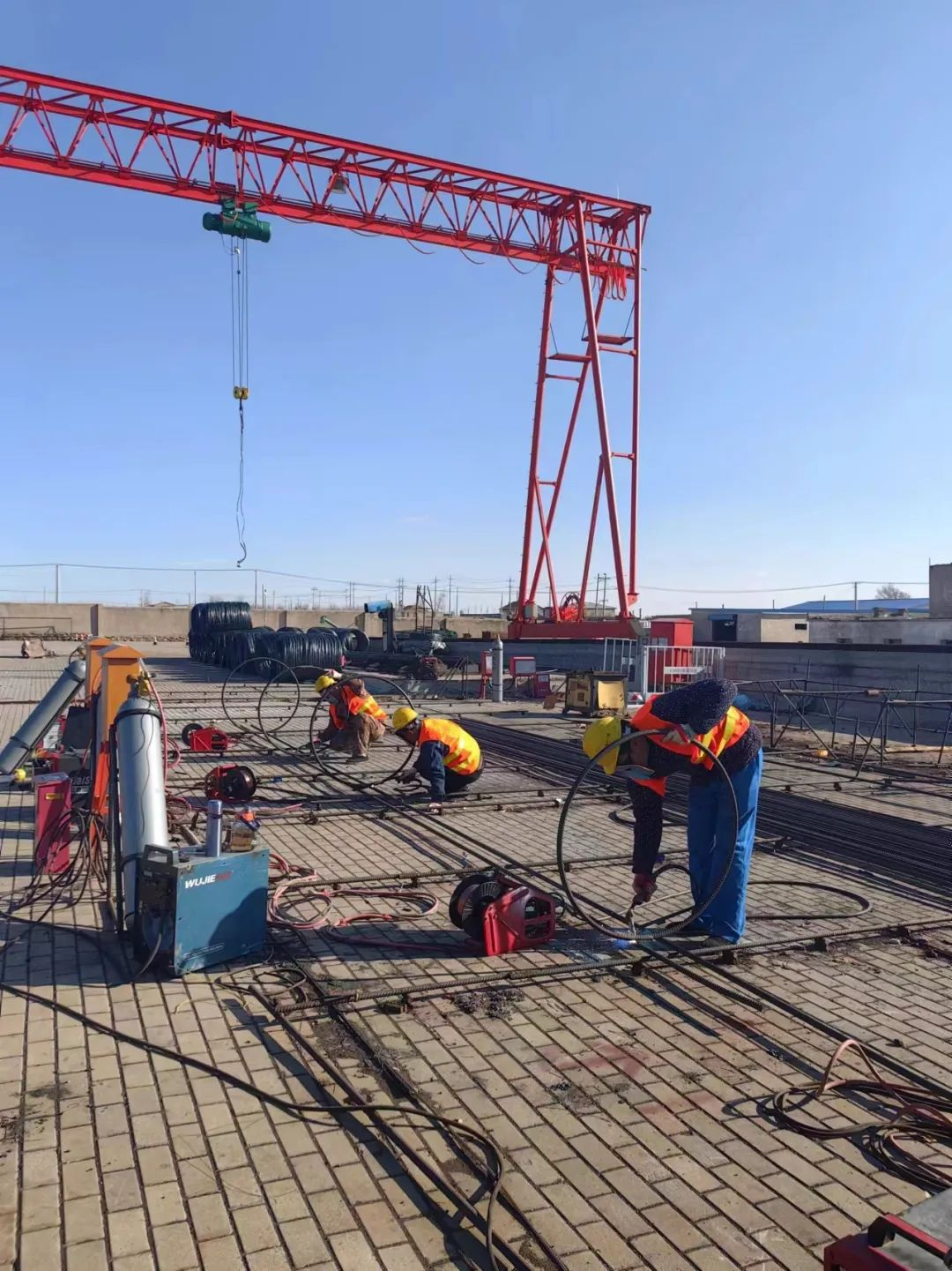 女人与公狍交酡女免费